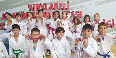 Karateciler, Yarışmadan Madalyalarla Döndü
