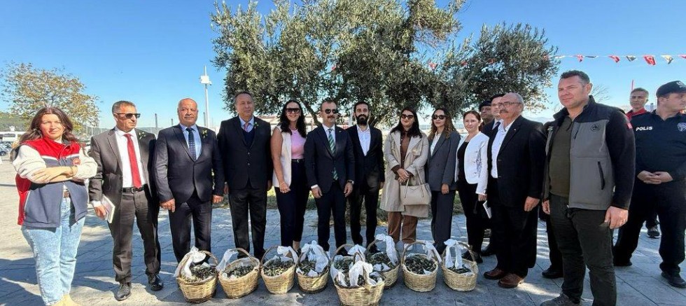 Eceabat Zeytinyağı Görücüye Çıktı