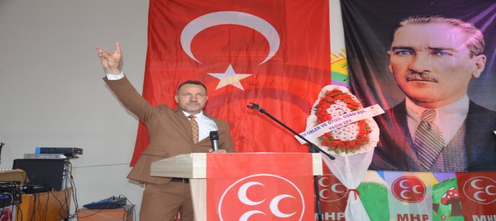 Şarlak, Güven Tazeledi
