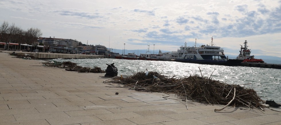 Sahil Şeridinde Kapsamlı Temizlik Çalışması Yapıldı