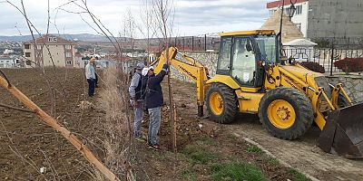 100. Yıldönümünde 100 Adet Fidan Dikildi