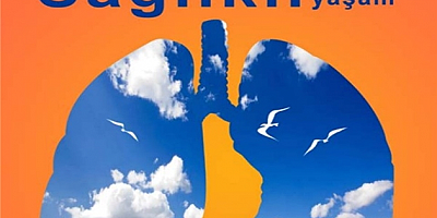 17 Kasım Dünya Koah Günü