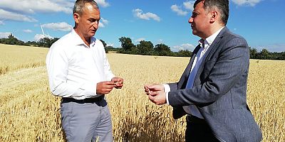 ‘3 Bin 500 Dönüm Ekili Alan Dolu İle Yok Oldu’