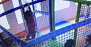 4-6 Yaş Kur’an Kursu Öğrencileri Oyun Salonunda