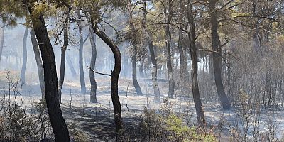 Adilhan-Sazlıdere Arasında Orman Yangını