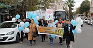 Ak Parti Kadın Kolları 14 Kasım Diyabet Günü dolayısıyla yürüyüş düzenlendi