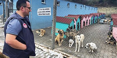 Barınaktaki Canlara Kuduz Aşısı Yapıldı