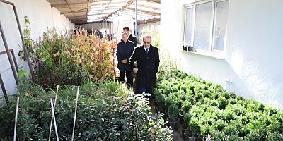 Başkan Özacar’dan Sera Alanında İnceleme