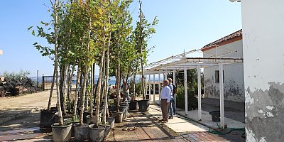 Başkan Özacar, Devam Eden Çalışmaları İnceledi