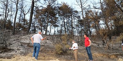 Başkan Özacar, Yangın Bölgesinde