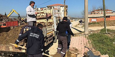 Belediye, Ağaçlandırma Çalışmalarını Sürdürüyor