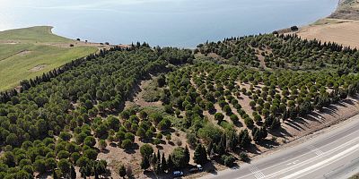 Belediye, Çalışmaları Sürdürüyor