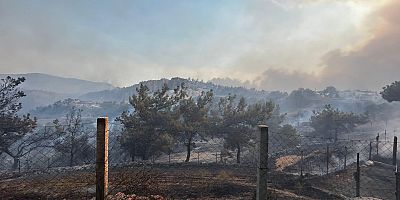 Belediye Ekipleri Yangın Söndürme Çalışmalarına Destek Oluyor