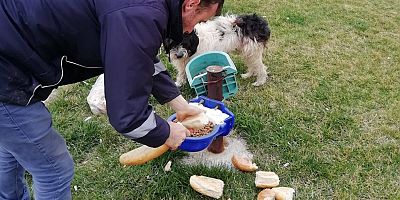 Belediye Sokak Hayvanlarını Unutmadı