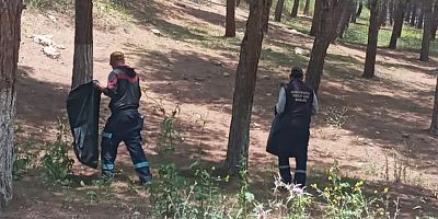 Belediyeden Çamlıkta Temizlik