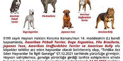 Belediyeden Önemli Duyuru!