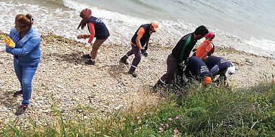 Belediyeden Yaz Temizliği