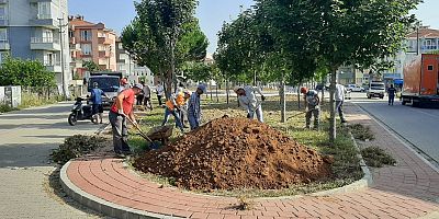 Belediyenin Çalışmaları Sürüyor