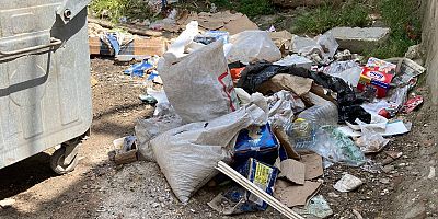 Bu Çöpleri Toplamak Kimin İşi?