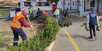 Budama ve Bakım Çalışmaları Sürüyor