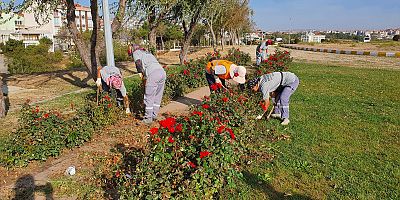 Çalışmalar Devam Ediyor