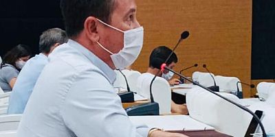 Çam Ağacı Yerine; Zeytin, Badem ve Ceviz Önerisi