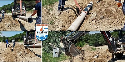 Çamlık Bölgesindeki Çalışmalar Devam Ediyor