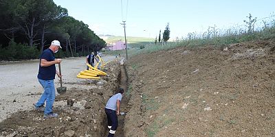 Çamlık Bölgesindeki Çalışmalar Devam Ediyor