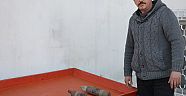 Çamlık’ta 2 Top Mermisi Buldu