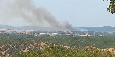 Çanakkale’de Bir Yangın Daha!