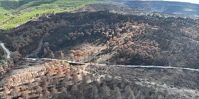 Çanakkale’de Orman Ekosisteminin İyileştirilmesi Çalıştayı Düzenlenecek