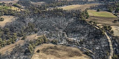 Çanakkale'deki Büyük Orman Yangını Kontrol Altında