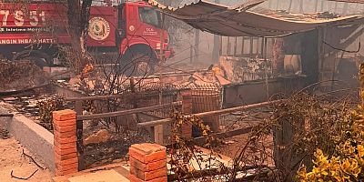 ‘Çanakkale’nin Yaralarını Hep Birlikte Saracağız’