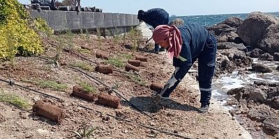 Çevre Düzenleme Çalışmaları Devam Ediyor