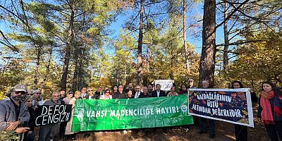 CHP Heyeti Ağaç Kesimini Durdurdu