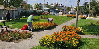 Çiçekler Rengarenk Görüntüsü İle Mutluluk Veriyor
