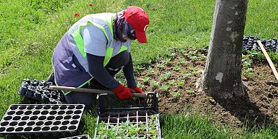 Çiçekler Toprakla Buluşturuluyor