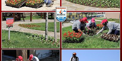 Çiçekler Toprakla Buluşuyor