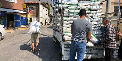 Çiftçilere Çaramba Otu Dağıtıldı