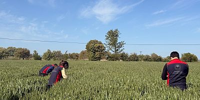 Çiftçilere Süne Uyarısı: ‘İlanı Bekleyin, Doğayı Koruyun’