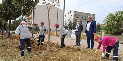 Çoban, İncelemelerde Bulundu