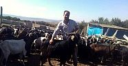 Çobanların Dünyası’nı Bir Çoban Yazdı