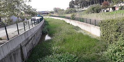 Çokalca Deresi Otluk İçinde