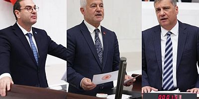 Dardanos Orman Kampı İçin Çanakkale’den Ortak Çağrı