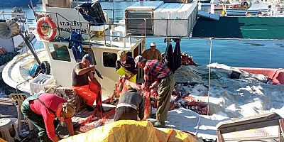 Denizden Palamut Fışkırdı