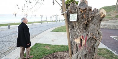 ‘Doğamızı Korumak Hepimizin Görevi!’