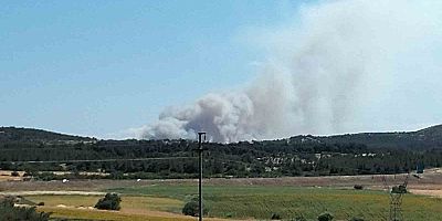 Doğanaslan Mevkiinde Yangın