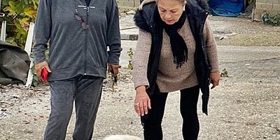 Dost Patilerden Köpek Zehirlenmelerine Tepki