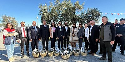 Eceabat Zeytinyağı Görücüye Çıktı