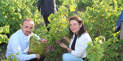 ‘Emeğin ve Alın Terinin Sembolü Çiftçilerimizin Günü Kutlu Olsun’